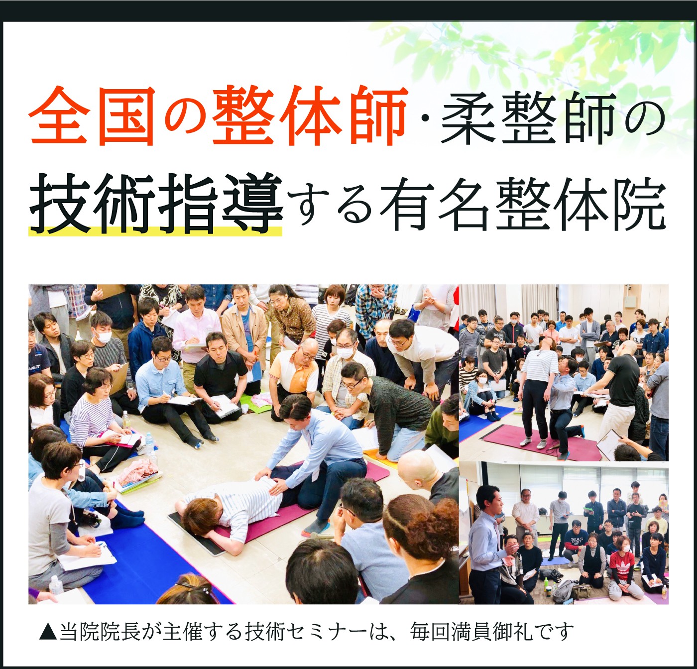 全国の整体師・柔道整復師の技術指導をする有名整体院